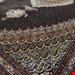 6 متری