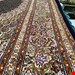 اندازه تک 6 متری 40 رج با پشم مرینوس پرویزیان (7لا) طرح گل 50 رج تک گره ترکی (تضمینی) رنگ متن سرمه ای، حاشیه افسری و ترنج پیازی 13 متن رنگی 28 رنگ پشم و 3 رنگ ابریشم جدیدترین نقشه ماهی کمال الملک خوی رنگرزی شده توسط دستگاه اشلاپ فورس با پودر صیبای آلمانی تضمین کیفیت بافت همراه با قید در فاکتور      