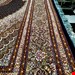  اندازه جفت 6 متری 40 رج با پشم مرینوس پرویزیان (7لا) طرح گل 50 رج تک گره ترکی (تضمینی) رنگ متن  سرمه ای، حاشیه افسری و ترنج پیازی 13 متن رنگی 28 رنگ پشم و 3 رنگ ابریشم جدیدترین نقشه ماهی کمال الملک خوی رنگرزی شده توسط دستگاه اشلاپ فورس با پودر صیبای آلمانی تضمین کیفیت بافت همراه با قید در فاکتو          