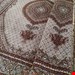  اندازه جفت 9 متری 40 رج با پشم مرینوس پرویزیان (7لا) طرح گل 50 رج تک گره ترکی (تضمینی) رنگ متن  کرم، حاشیه افسری و ترنج پیازی 17 متن رنگی 28 رنگ پشم و 3 رنگ ابریشم جدیدترین نقشه ماهی کمال الملک خوی رنگرزی شده توسط دستگاه اشلاپ فورس با پودر صیبای آلمانی تضمین کیفیت بافت همراه با قید در فاکتو                    